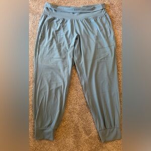 Athleta Salutation Jogger
Powervita Teal Blue Yoga/Workout Pants